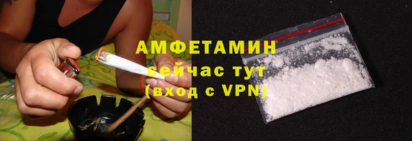 прущие грибы Арсеньев