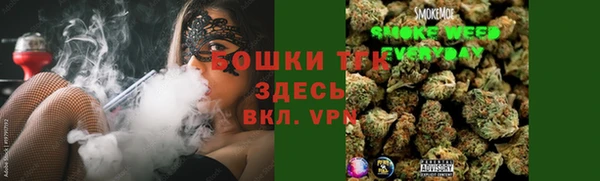 прущие грибы Арсеньев