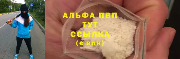 прущие грибы Арсеньев