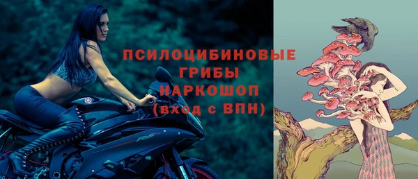 дмт Покачи